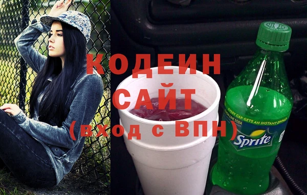 гидра Верхний Тагил