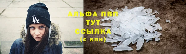 гидра Верхний Тагил