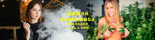 гидра Верхний Тагил