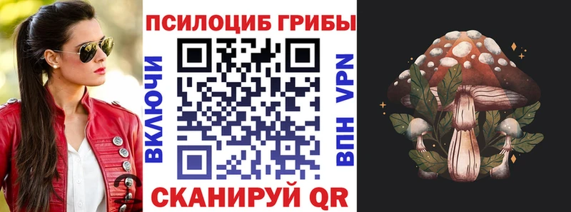 Псилоцибиновые грибы GOLDEN TEACHER  Мончегорск 