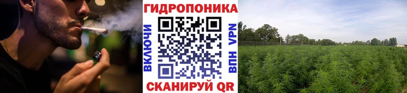 цена наркотик  Мончегорск  Бошки Шишки ГИДРОПОН 